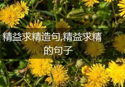 精益求精造句,精益求精的句子