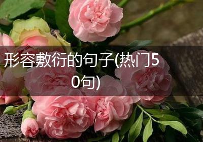 形容敷衍的句子(热门50句)
