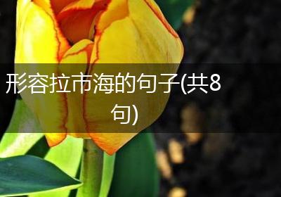 形容拉市海的句子(共8句)