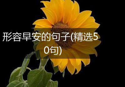 形容早安的句子(精选50句)