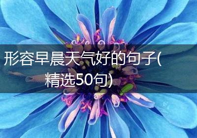 形容早晨天气好的句子(精选50句)