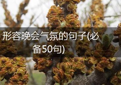 形容晚会气氛的句子(必备50句)