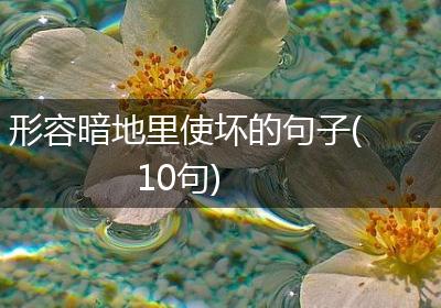 形容暗地里使坏的句子(10句)