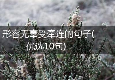 形容无辜受牵连的句子(优选10句)