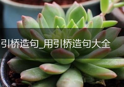 引桥造句_用引桥造句大全