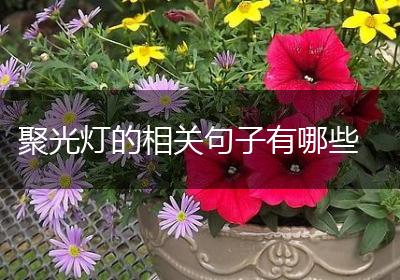 聚光灯的相关句子有哪些