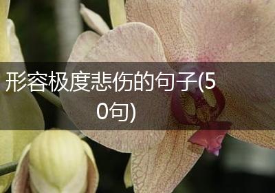 形容极度悲伤的句子(50句)