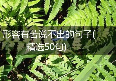 形容有苦说不出的句子(精选50句)