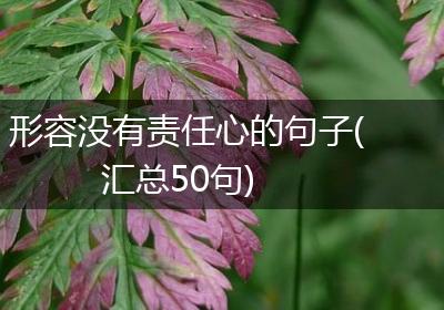 形容没有责任心的句子(汇总50句)