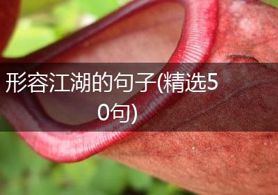 形容江湖的句子(精选50句)