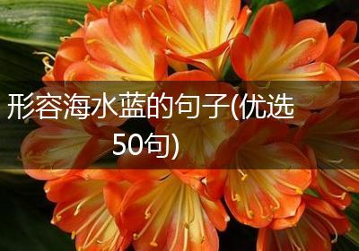 形容海水蓝的句子(优选50句)