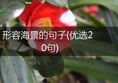 形容海景的句子(优选20句)