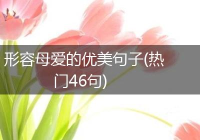 形容母爱的优美句子(热门46句)