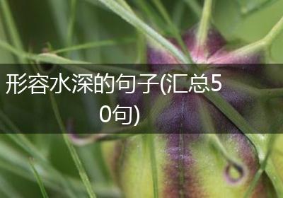 形容水深的句子(汇总50句)
