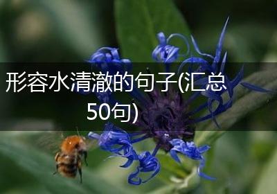 形容水清澈的句子(汇总50句)