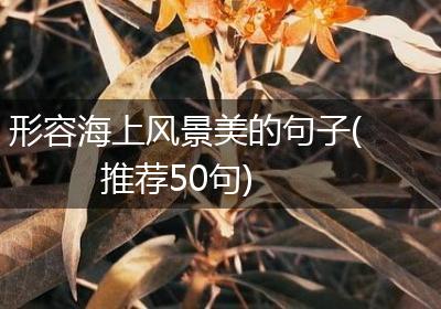 形容海上风景美的句子(推荐50句)