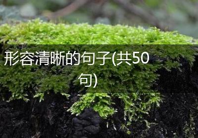 形容清晰的句子(共50句)