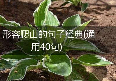 形容爬山的句子经典(通用40句)