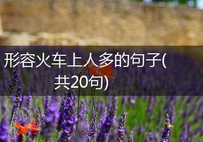 形容火车上人多的句子(共20句)
