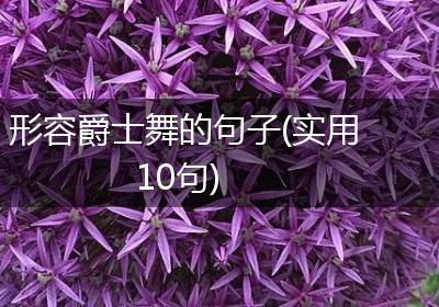 形容爵士舞的句子(实用10句)