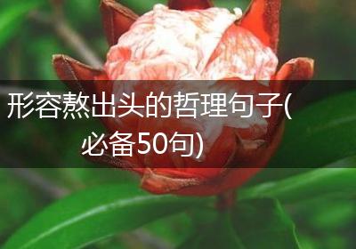 形容熬出头的哲理句子(必备50句)