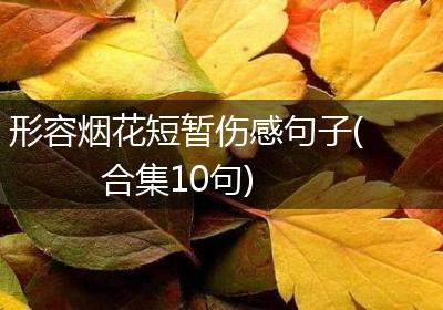 形容烟花短暂伤感句子(合集10句)