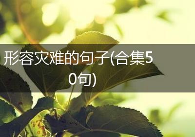 形容灾难的句子(合集50句)