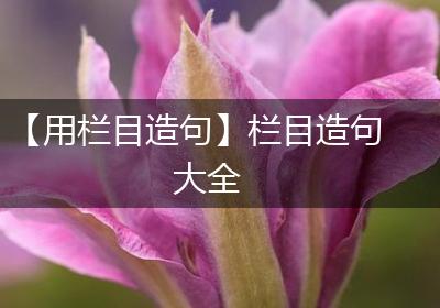 【用栏目造句】栏目造句大全