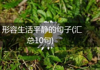 形容生活平静的句子(汇总10句)