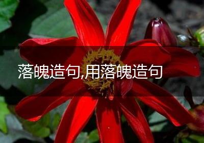 落魄造句,用落魄造句