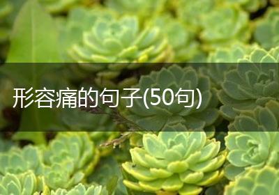 形容痛的句子(50句)