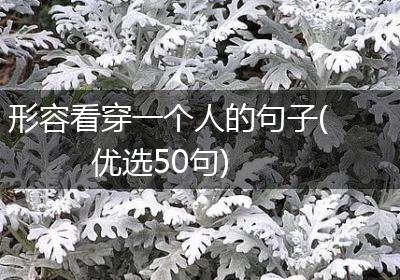 形容看穿一个人的句子(优选50句)