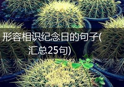 形容相识纪念日的句子(汇总25句)