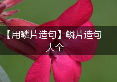 【用鳞片造句】鳞片造句大全