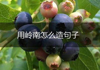 用岭南怎么造句子