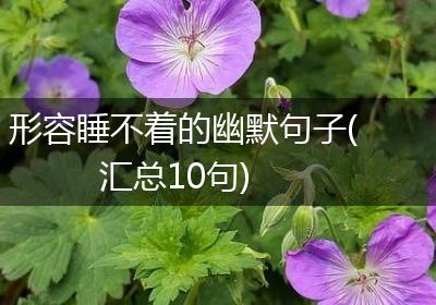 形容睡不着的幽默句子(汇总10句)