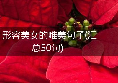 形容美女的唯美句子(汇总50句)