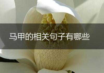 马甲的相关句子有哪些