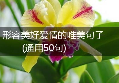 形容美好爱情的唯美句子(通用50句)