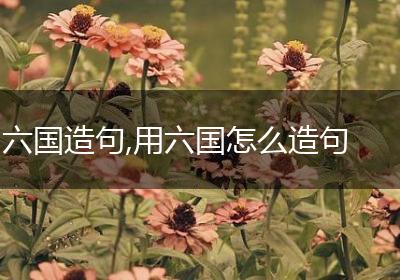六国造句,用六国怎么造句