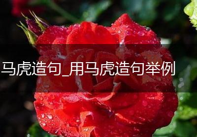 马虎造句_用马虎造句举例