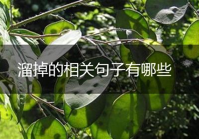 溜掉的相关句子有哪些