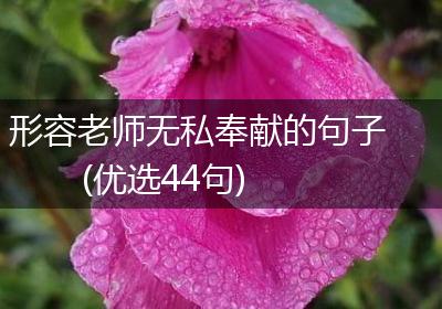 形容老师无私奉献的句子(优选44句)