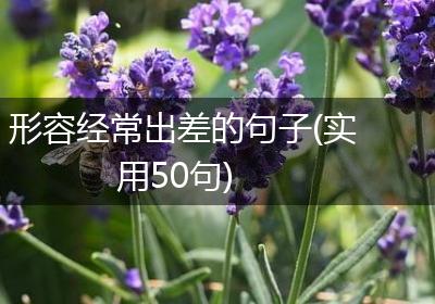 形容经常出差的句子(实用50句)