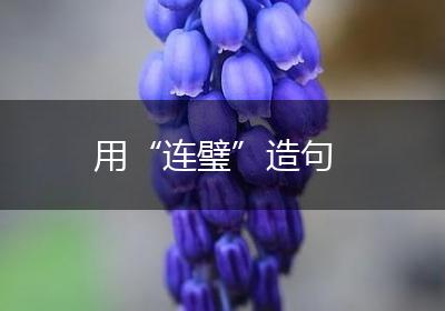 用“连璧”造句