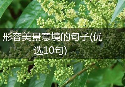 形容美景意境的句子(优选10句)