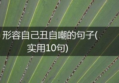 形容自己丑自嘲的句子(实用10句)