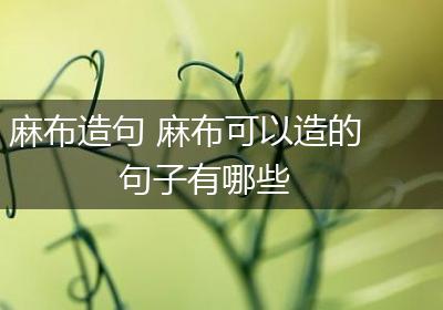 麻布造句 麻布可以造的句子有哪些