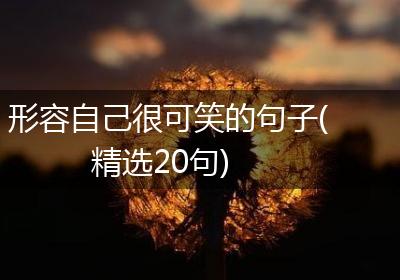 形容自己很可笑的句子(精选20句)