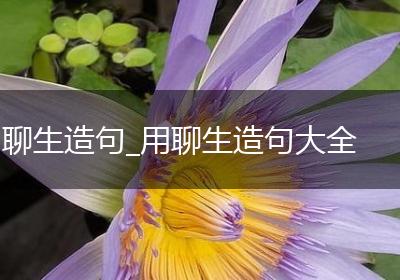 聊生造句_用聊生造句大全